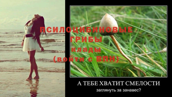 эйфоретик Верея