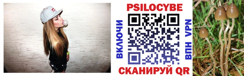 Галлюциногенные грибы мицелий  мега зеркало  Братск 